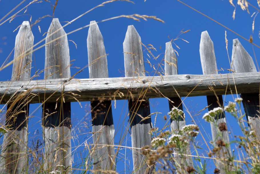 Гнилой забор