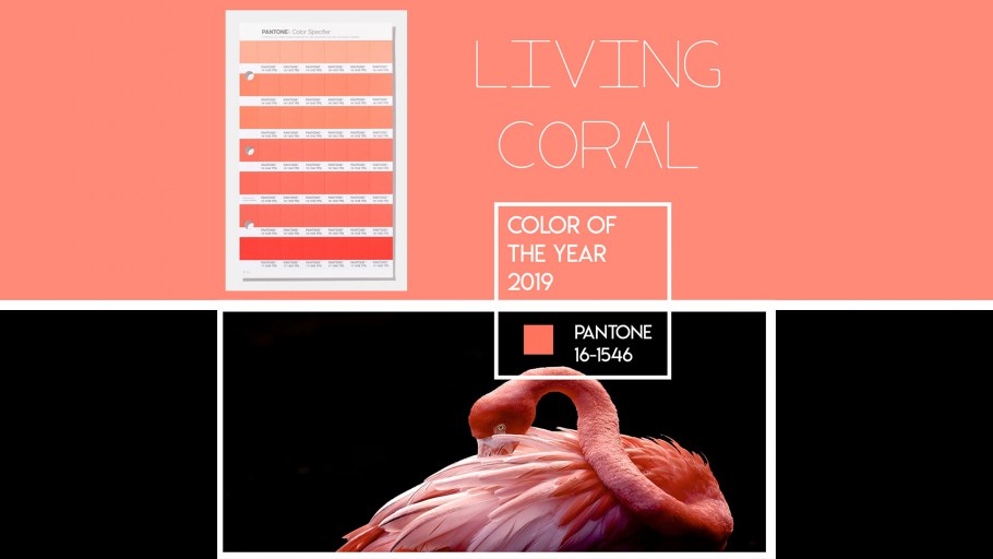 Pantone 16-1348 томатный крем