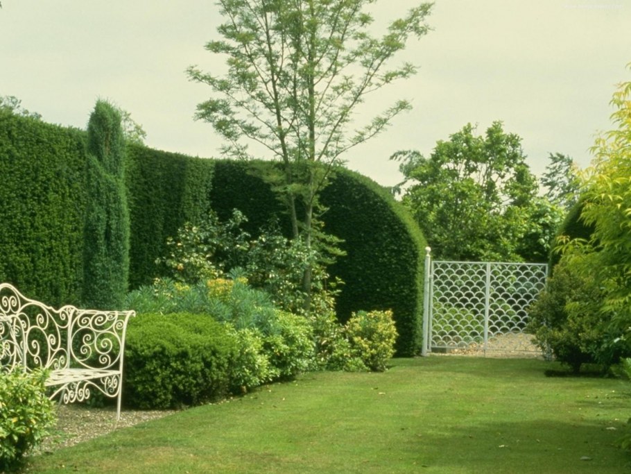 Живая изгородь Англия