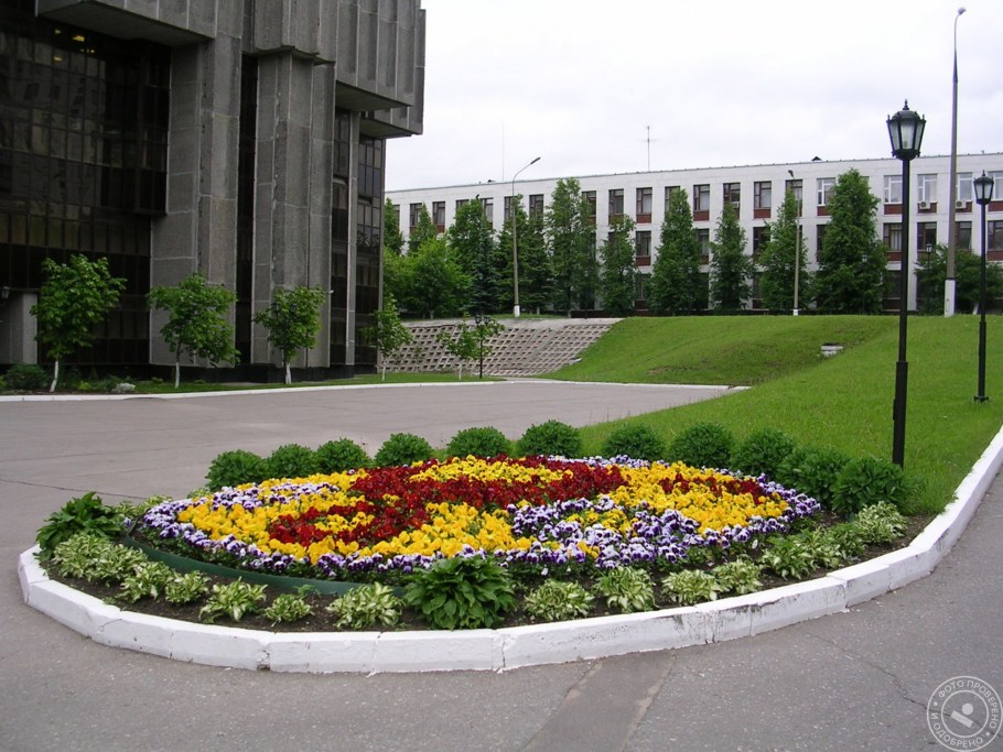 Клумбы около школы