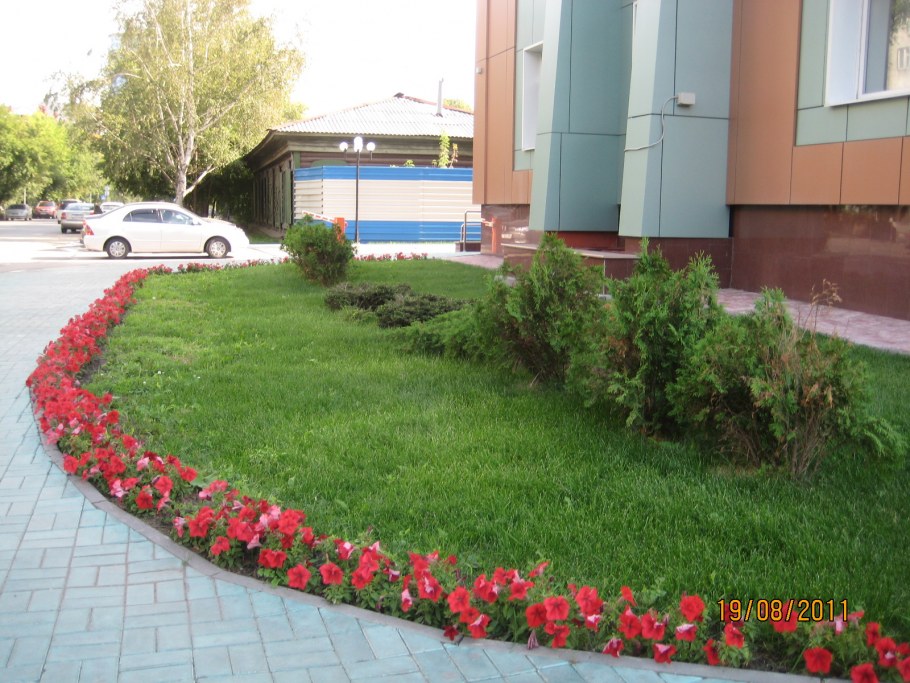 Клумбы у административных зданий