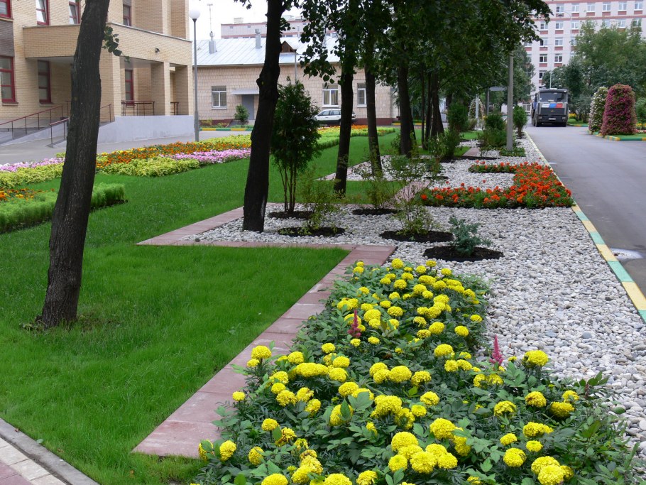 Сквер Озеленение Живулин