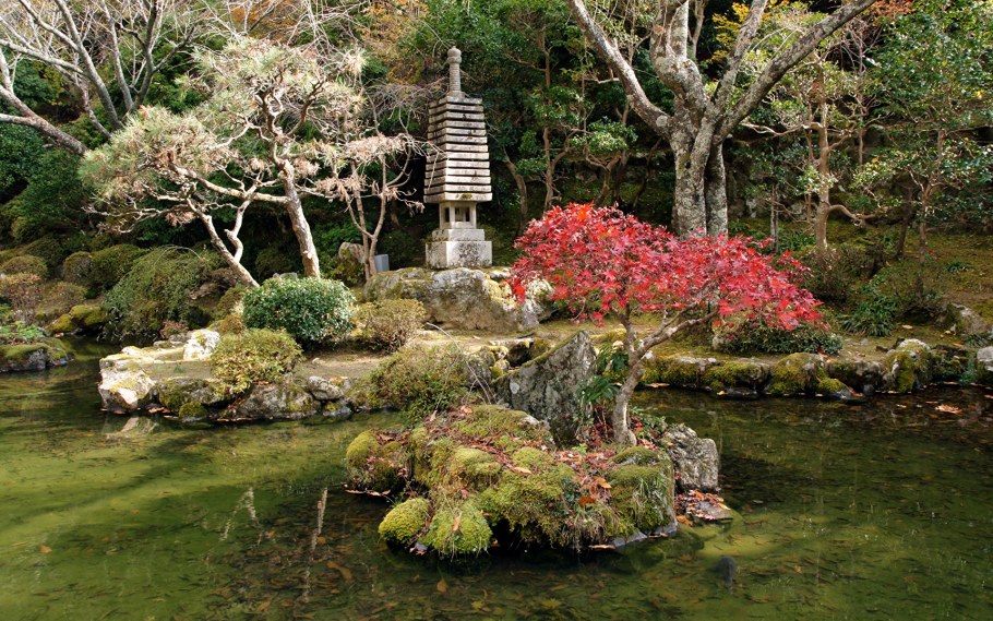 Дендра парк японский сад