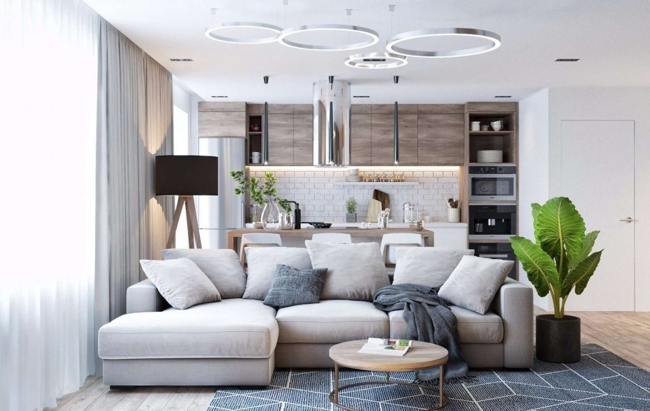 Гостиная совмещенная с кухней