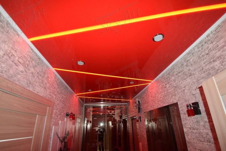 Растения в интерьере квартиры однокомнатной