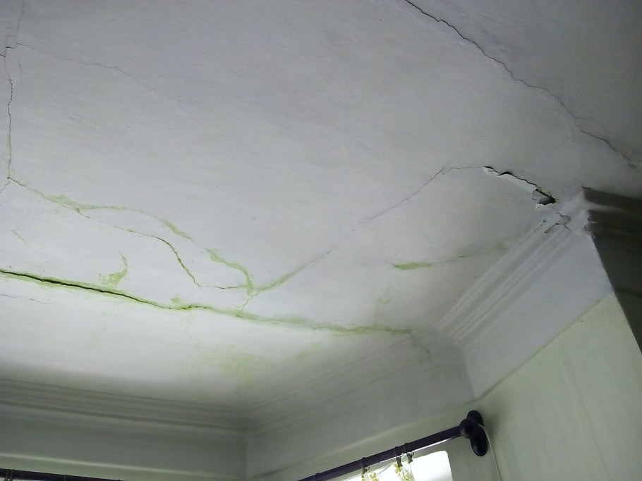 Потолок сыро