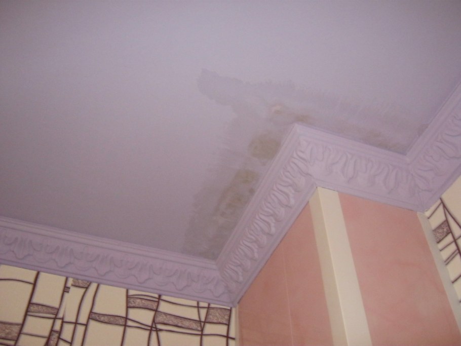 Плесень под натяжным потолком