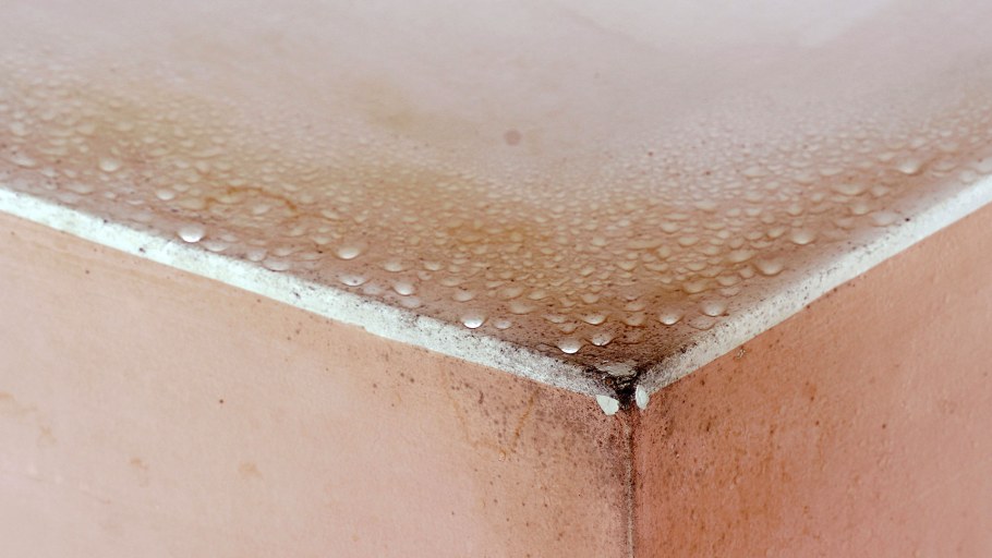 Грибок на потолке в ванной