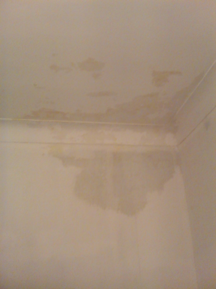 Мокрый потолок