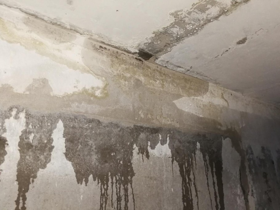 Натяжные потолки затоп до после