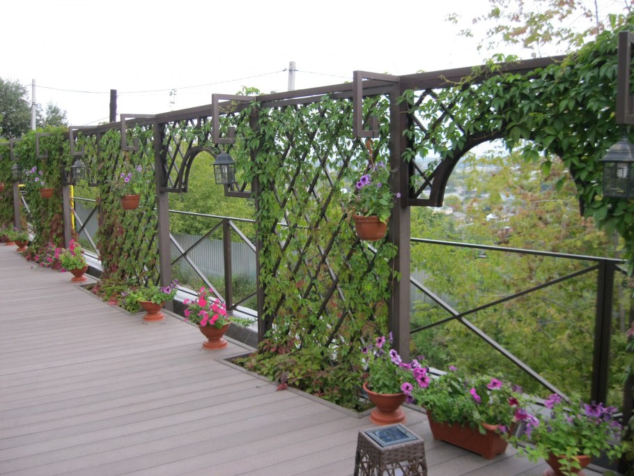 Пергола ширма