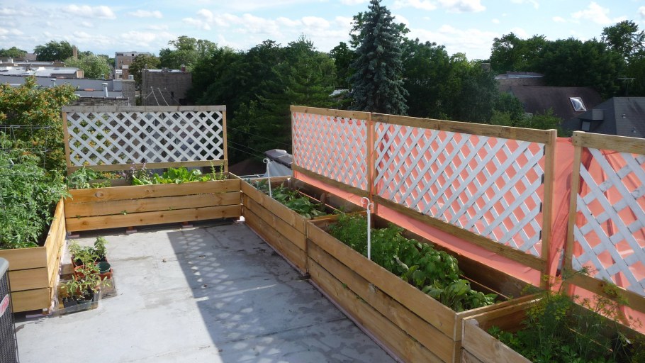 Деревянный забор для дачи