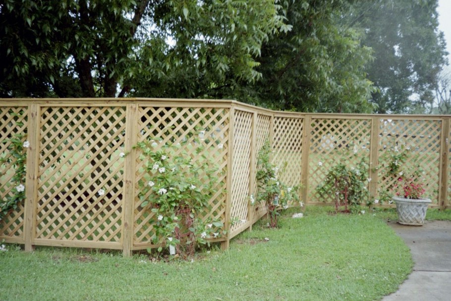 Изгородь декоративная для дачи