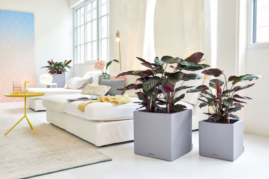 Lechuza Table Planters