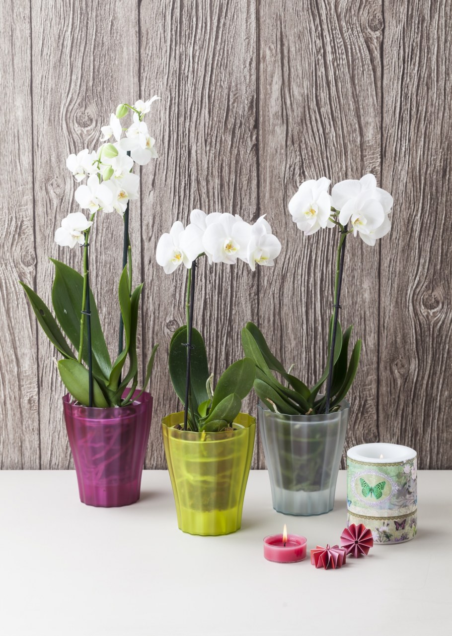 Орхидейные горшки