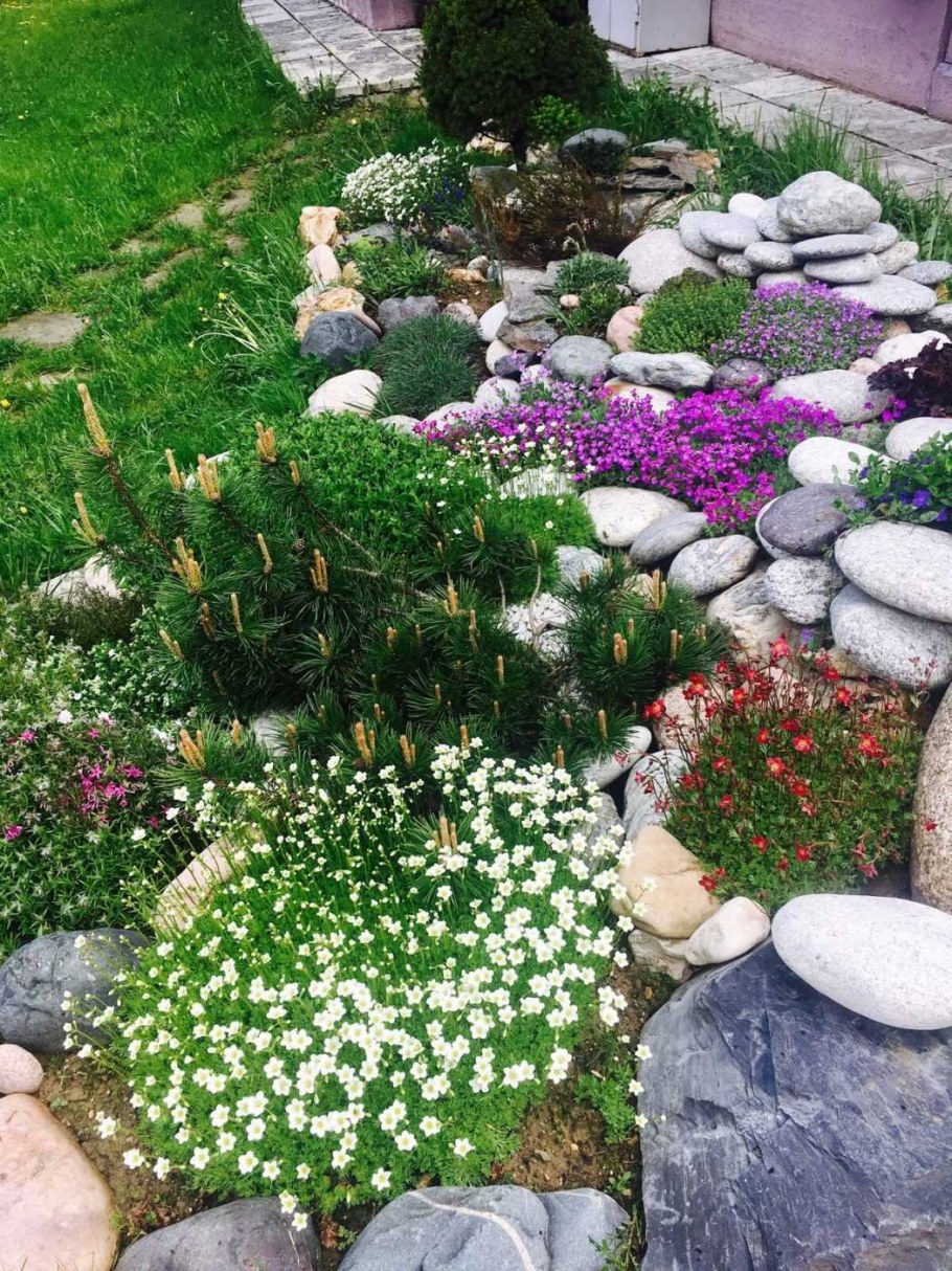 Альпийская горка Версаль