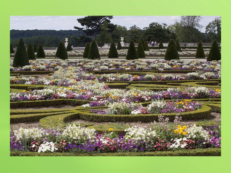 Партер цветник