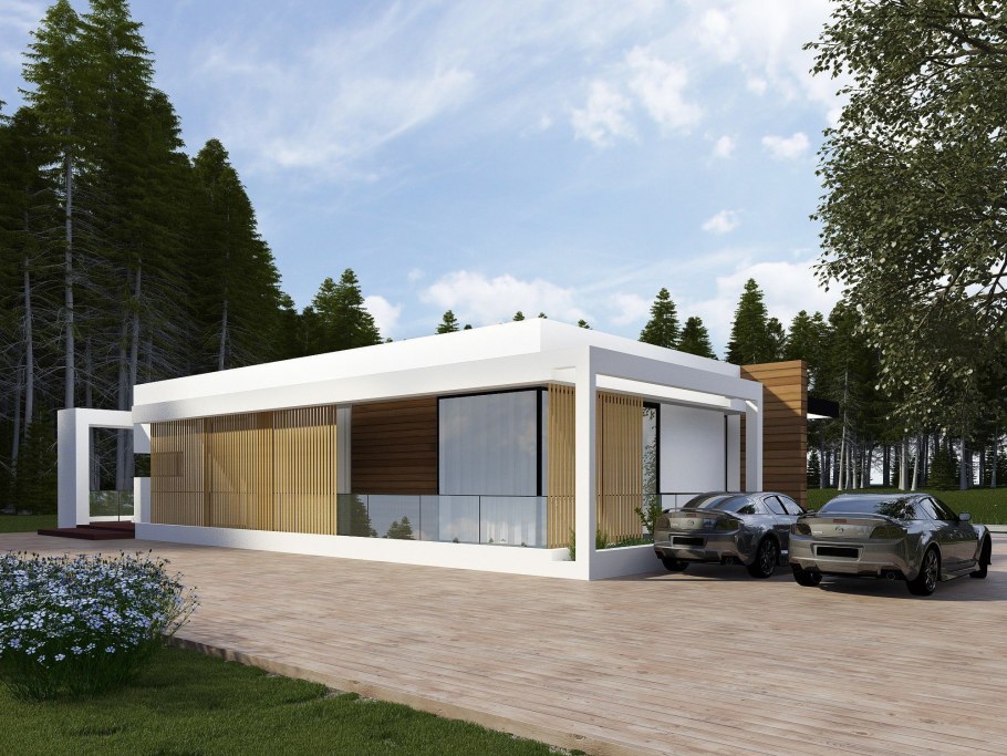 Одноэтажный дом с плоской крышей