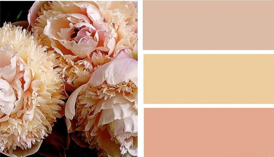 Персиковый цвет