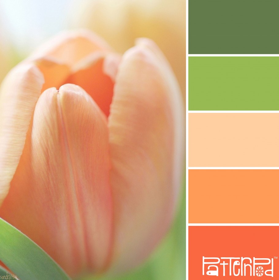 Персиковый цвет стен в спальне