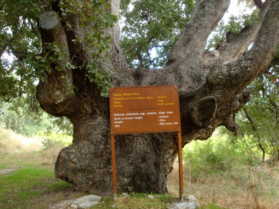 Wolfson College Оксфорд здание