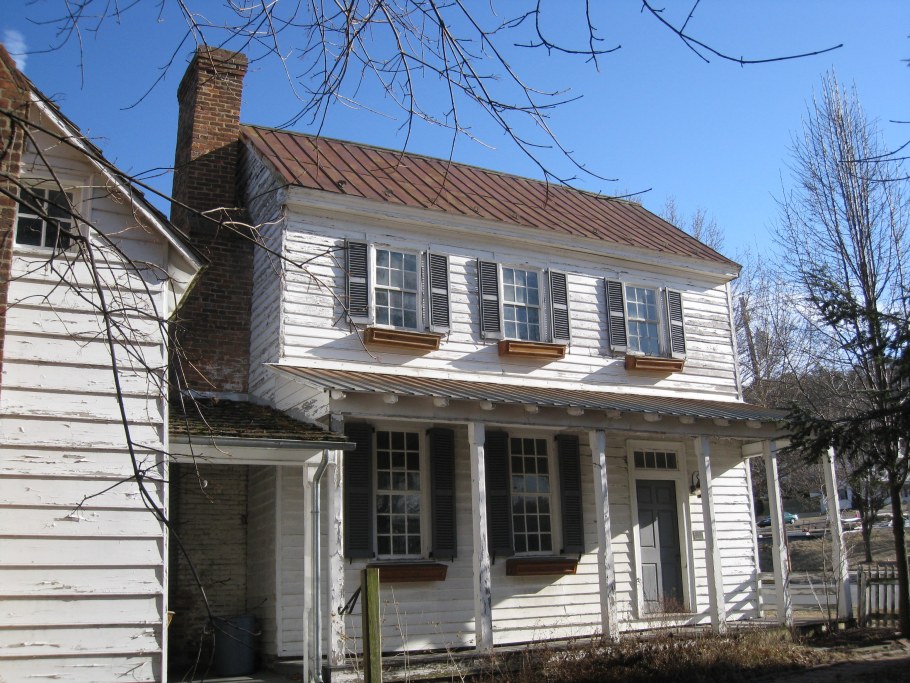 Дуб гигантских размеров