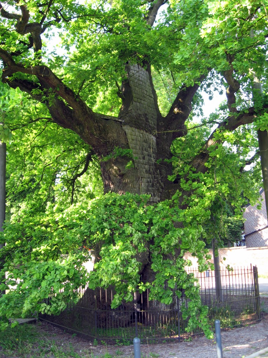 Swingers Stratford Ontario