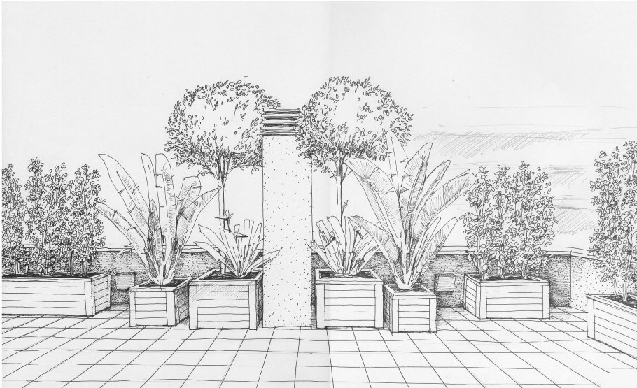 Набросок сада