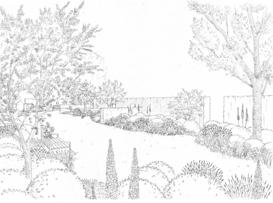 Ландшафт сада карандашом