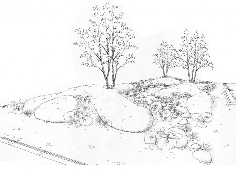 Ландшафт карандашом