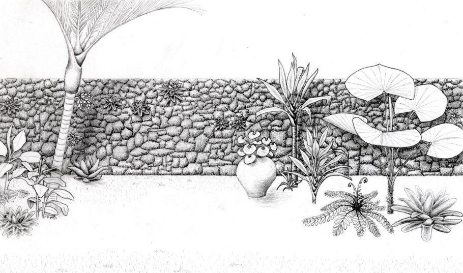 Ландшафтный дизайн сада рисунок