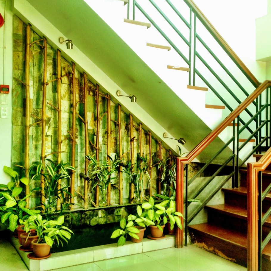 Сад под лестницей