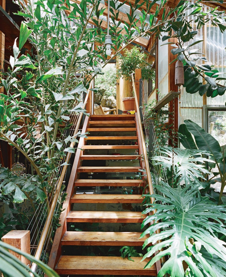 Ботанический сад под лестницей