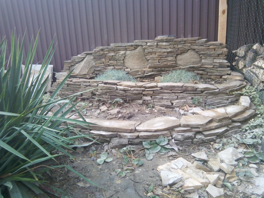 Вереск береза рокарий