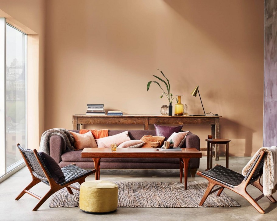 Dulux индийские степи