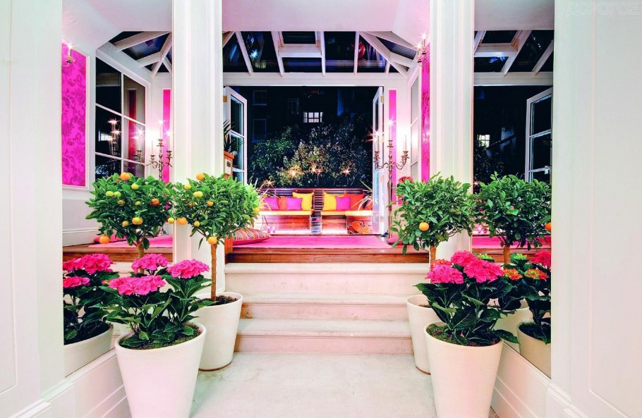 Квартира с цветами