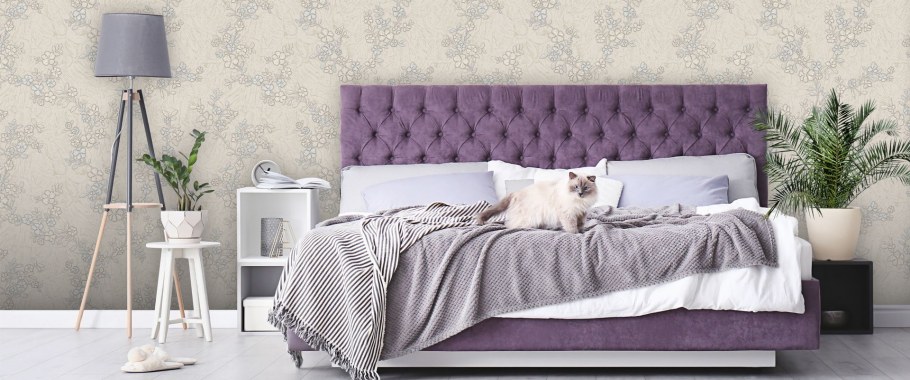 Виктория Стенова Паулина арт888661