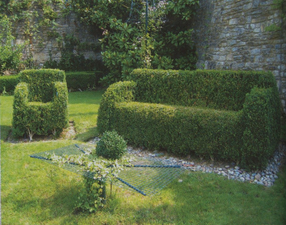 Куст в форме Куба