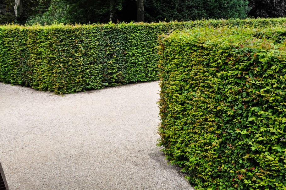 Австралийский ландшафтный дизайн