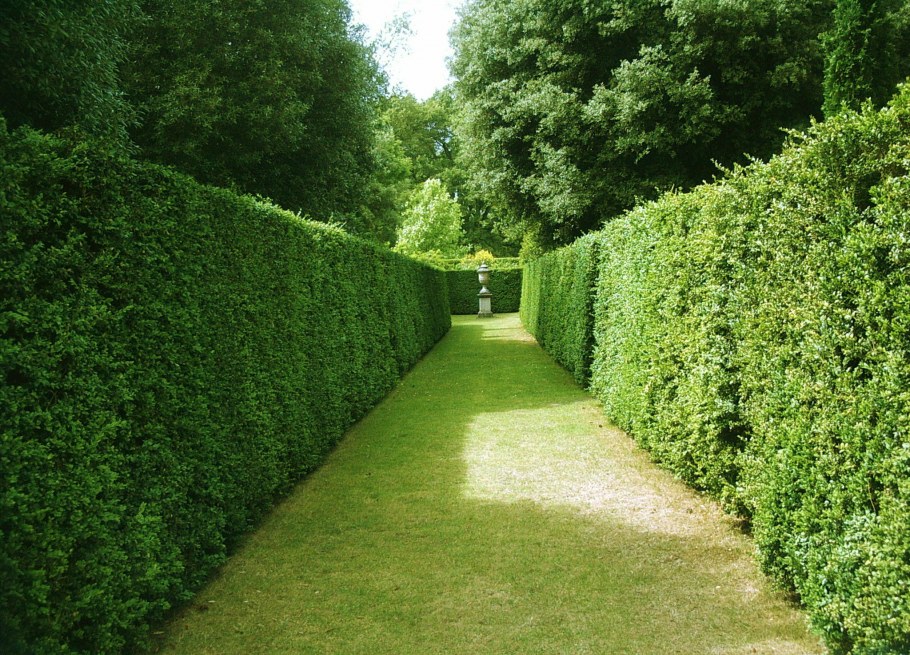 Дом с живой изгородью