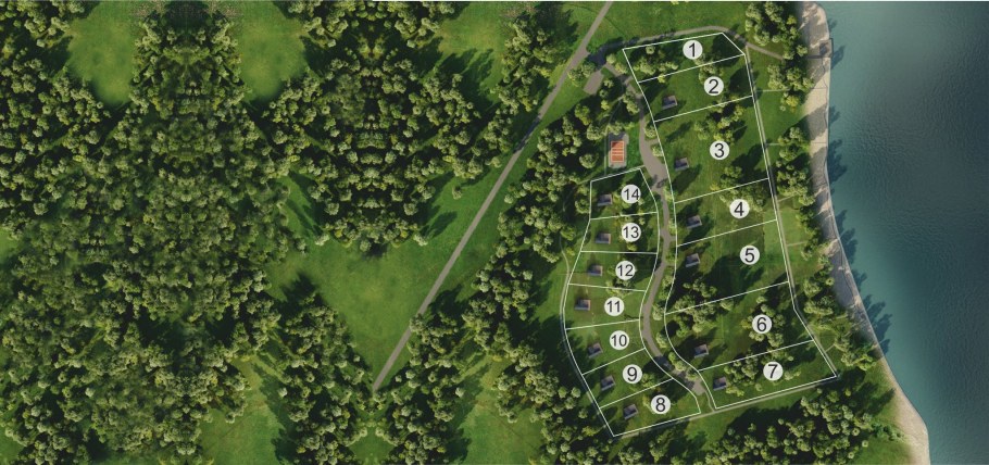 Симфония Хонка