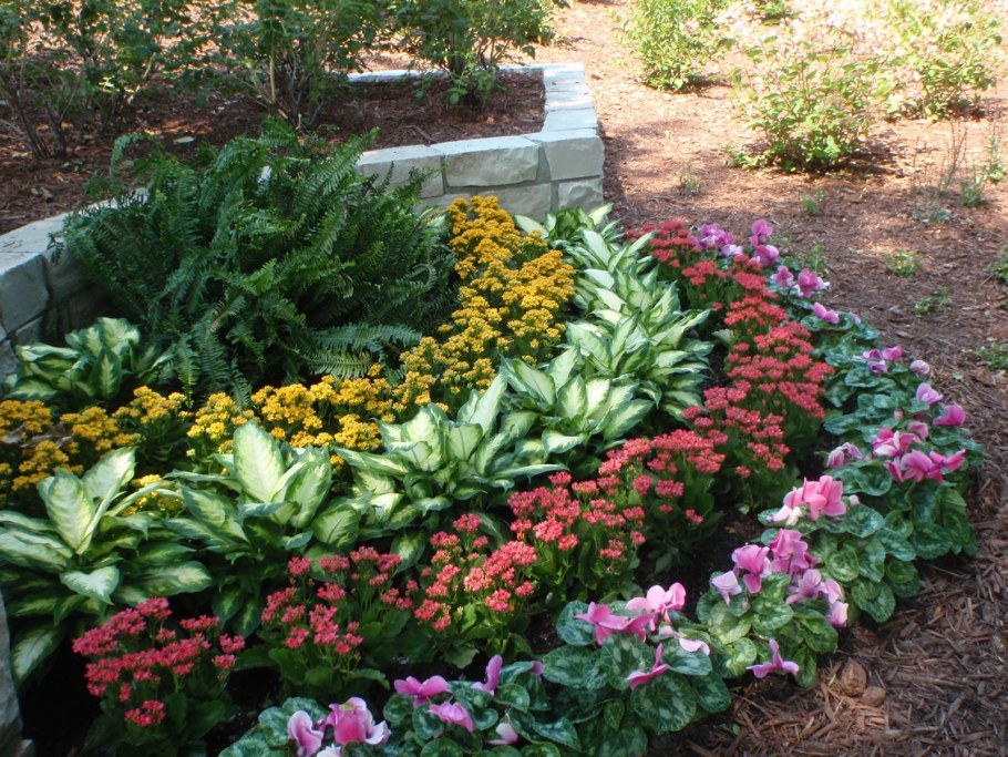 Интерьер сада