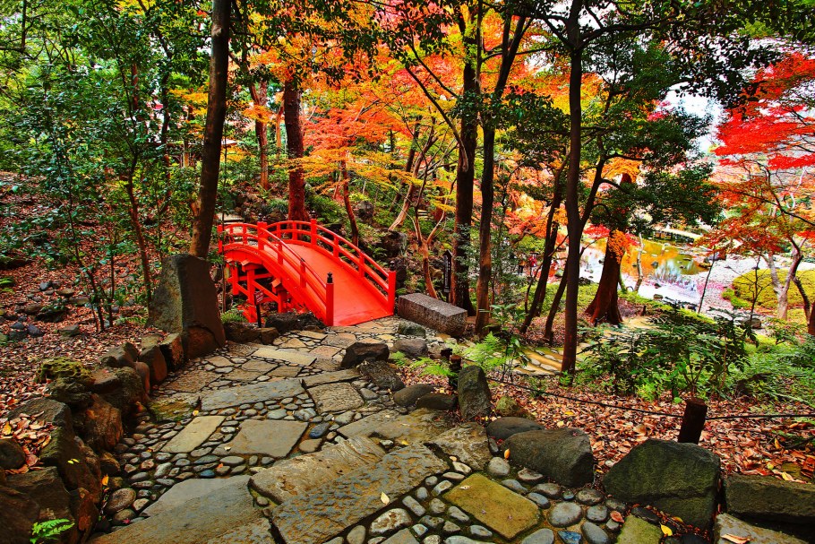 Сад Коракуэн Токио