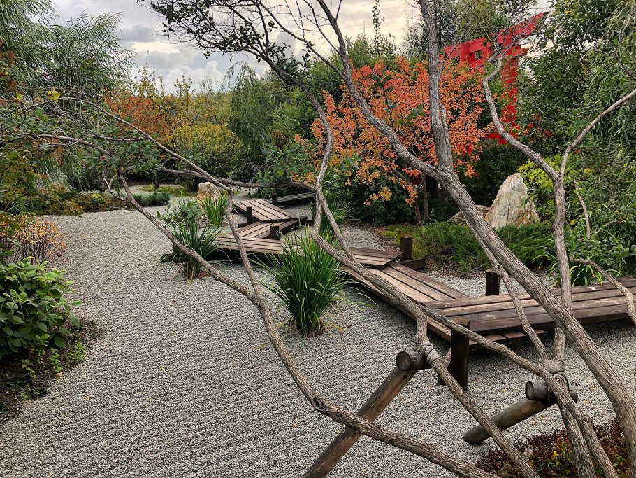 Гинкго парк Толоконникова