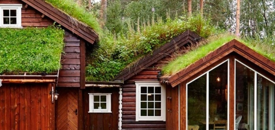 Лесной дом в Норвегии