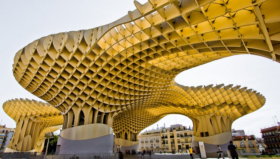 Бруно дзеви органическая архитектура