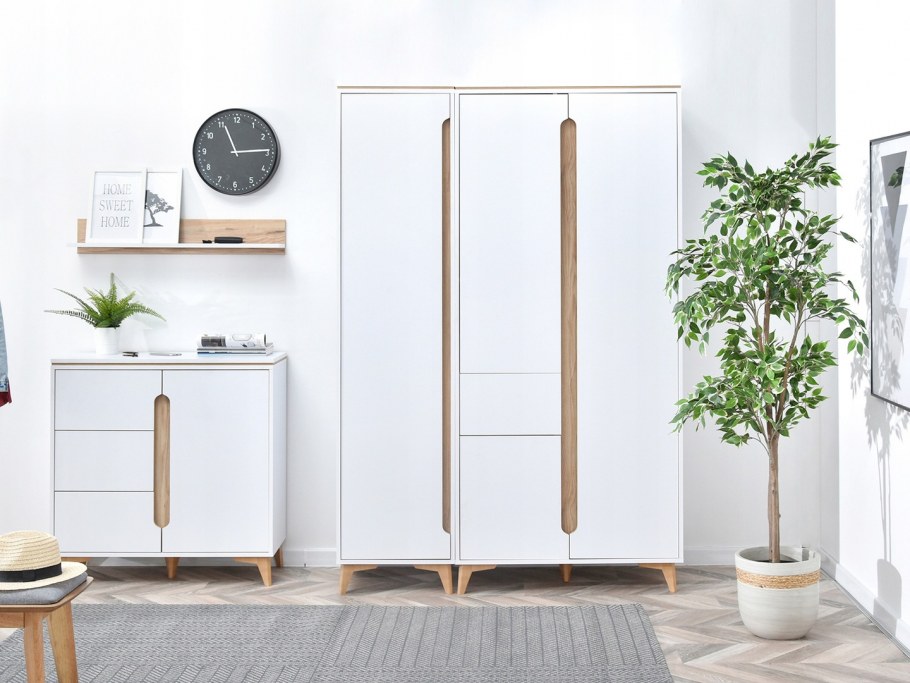 Шкаф Сканди-2