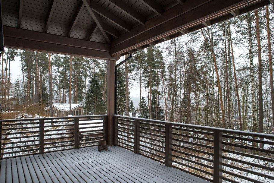 Хонка Сириус