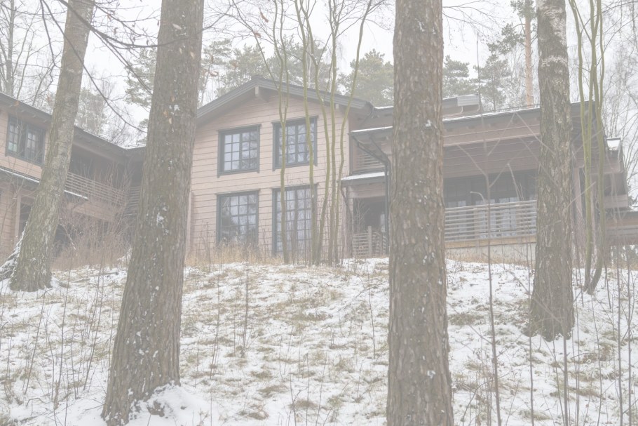 Истринский район пос Хонка