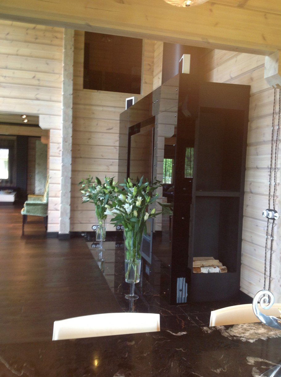 Серебрянный дождь дом Хонка